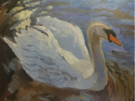 Le cygne
